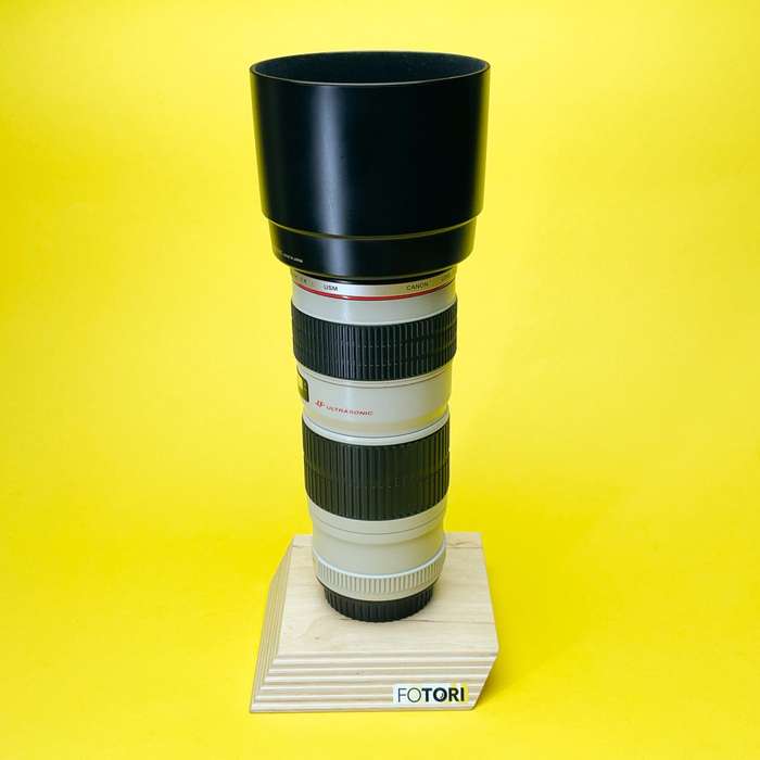 Canon EF 70-200 mm f/4,0 L USM I 236589