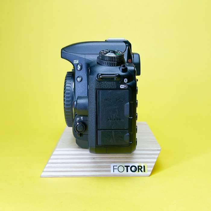 Nikon D7500 | 6079962