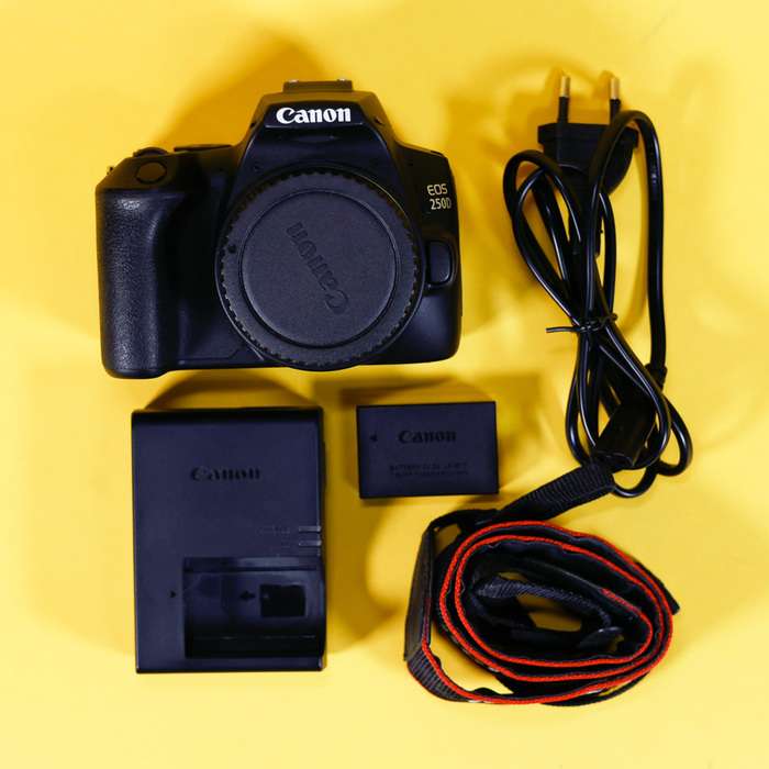 Canon EOS 250D | 263073009782