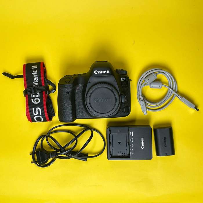 Canon EOS 6D mark II | 163052000970