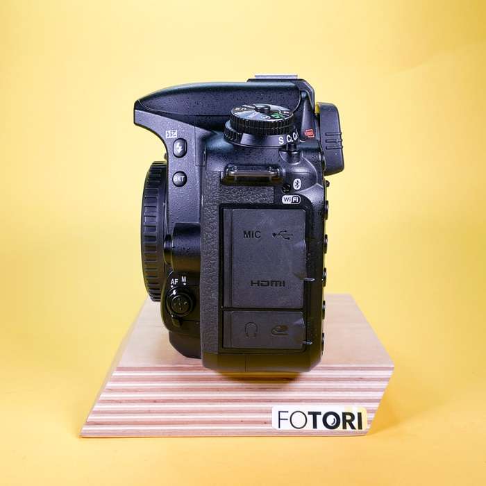 Nikon D7500 | 6016961