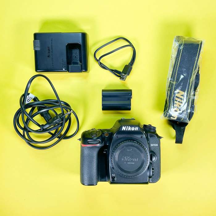 Nikon D7500 | 6016961