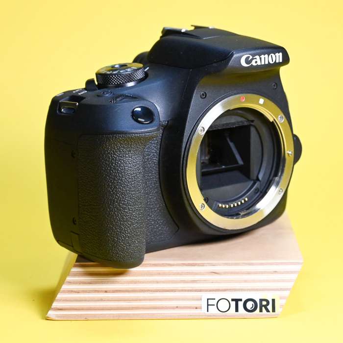 Set Canon EOS 2000D + Canon 18-55mm f/3.5-5.6 DC III | 243073028080