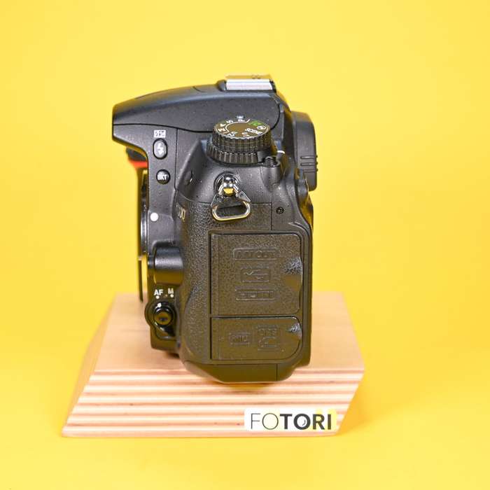 Nikon D7000 |  6544389