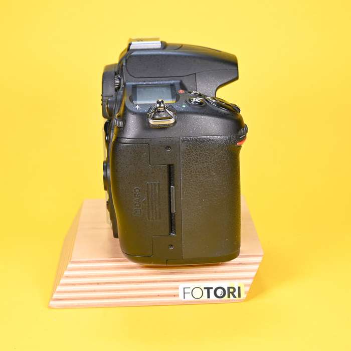 Nikon D7000 |  6544389