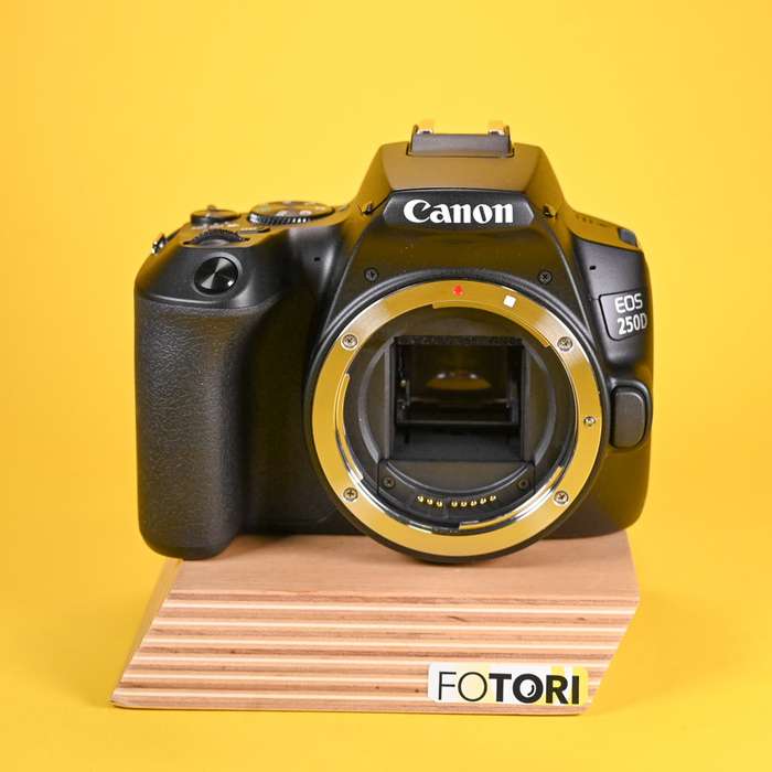 Set Canon EOS 250D + 18-55mm + karta 64Gb + brašna | 363073003086