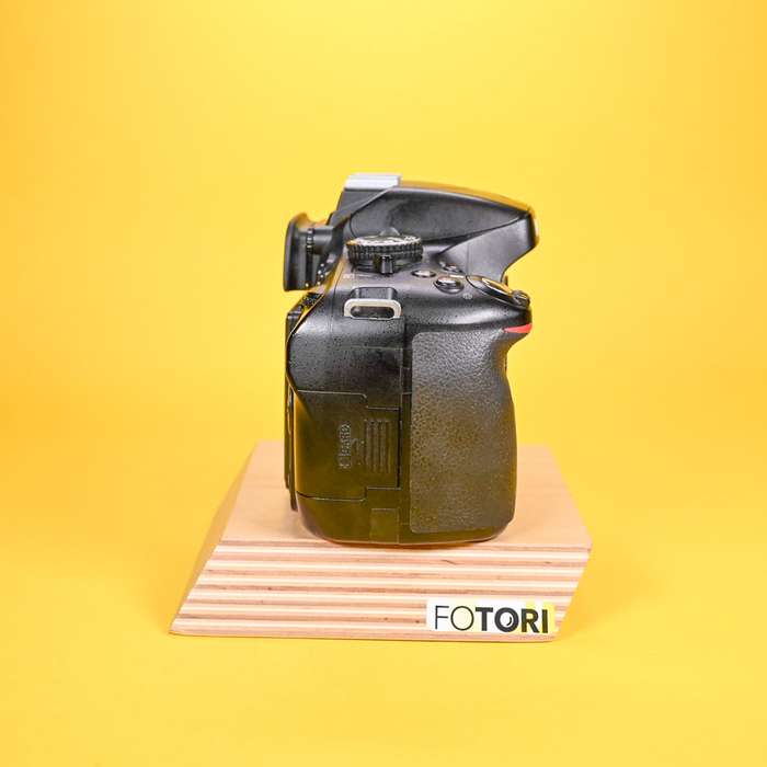 Nikon D5100 | 7212233