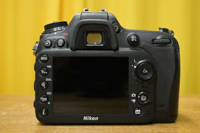 Nikon D7200 | 4440647 | závěrka 19060