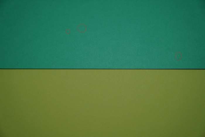 Sony Alpha A9 | 3770938