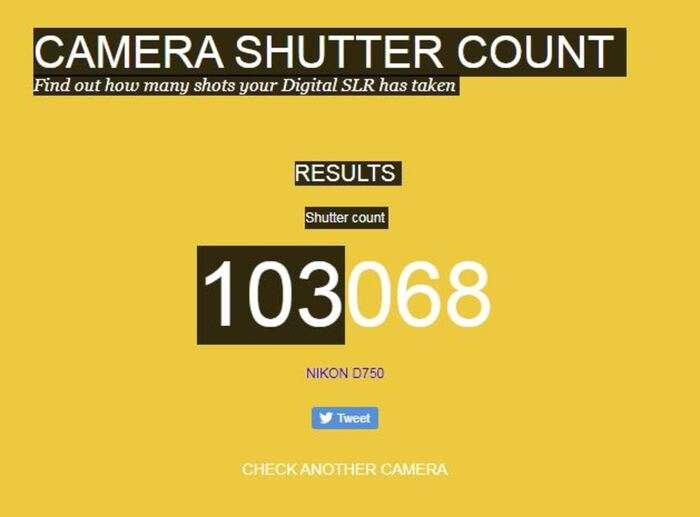 Nikon D750 | 6073142