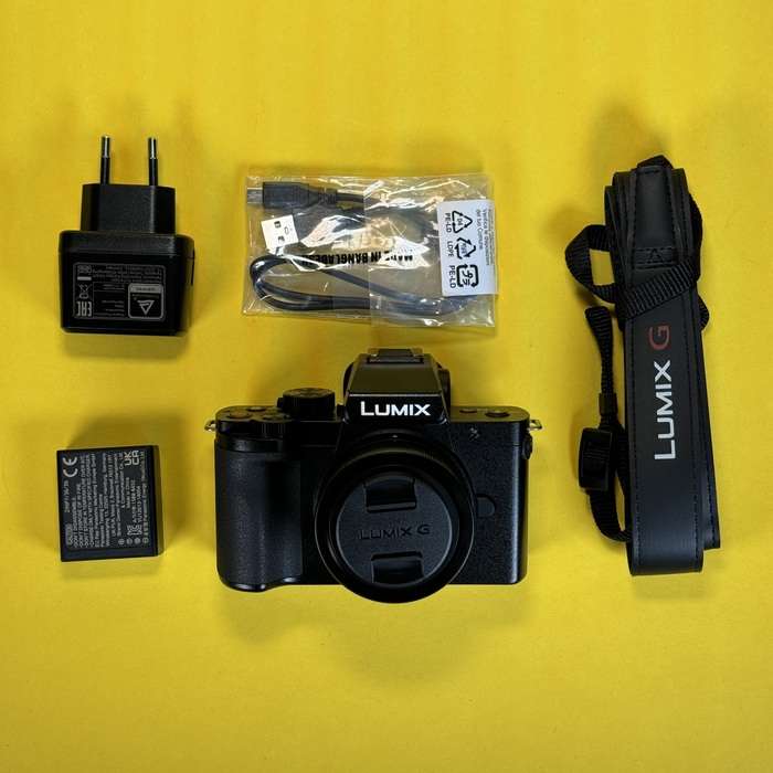 Panasonic lumix DC-G100V + 12-32mm f/3.5-5.6 | WF3DC001025