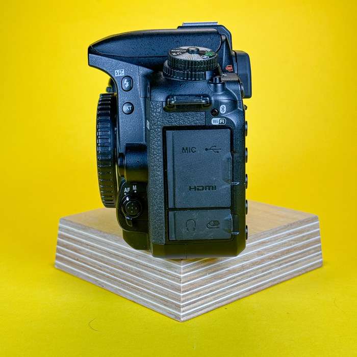 Nikon D7500 | 6006393