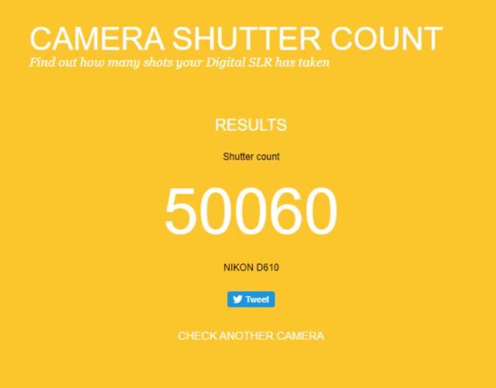 Nikon D610 | 2104575