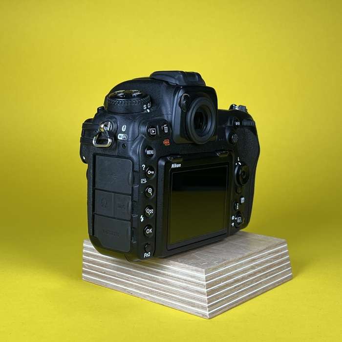 Nikon D500 | 6028119