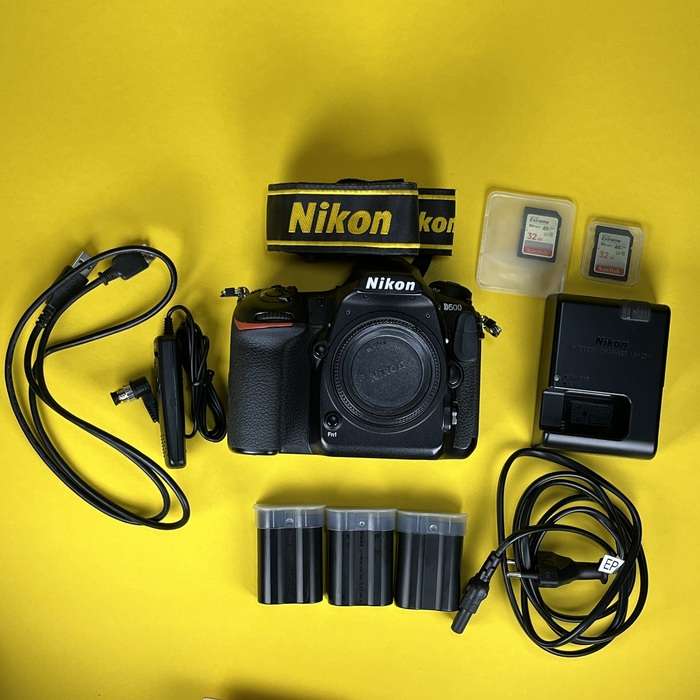 Nikon D500 | 6028119