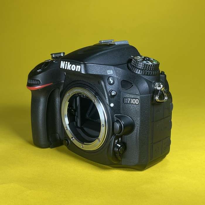 Nikon D7100 | 4399630