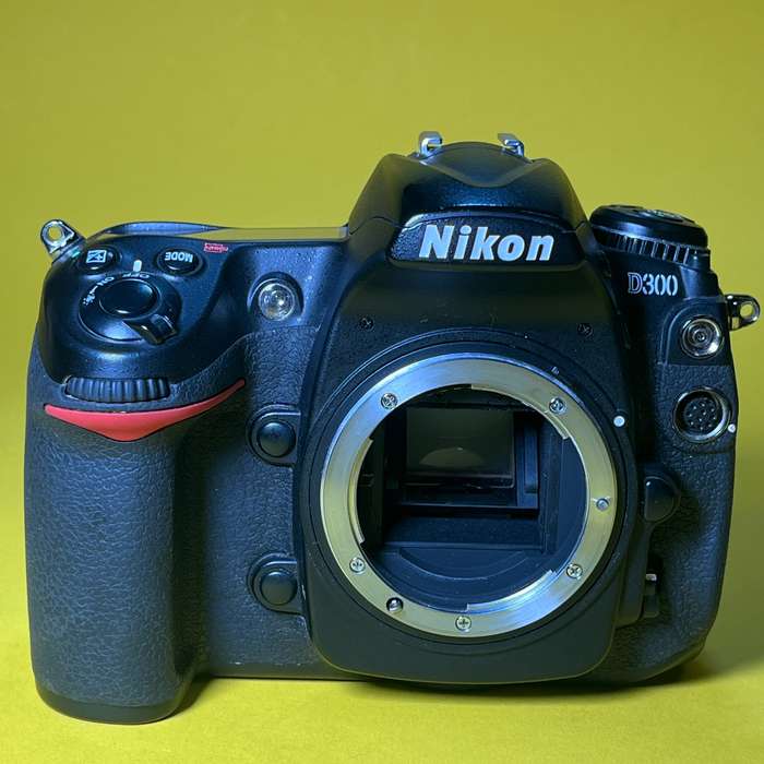 Nikon D300 | 3119642