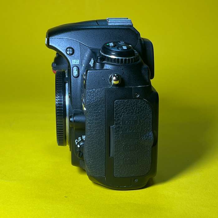 Nikon D300 | 3119642