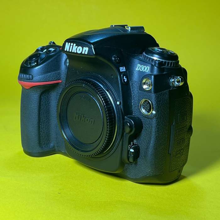 Nikon D300 | 3119642