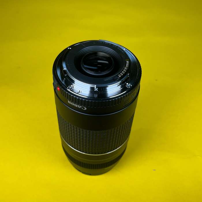 Canon EF 75-300mm f/4,0-5,6 DC III | 3389206136