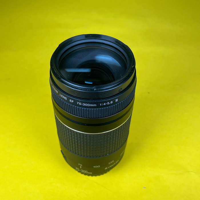 Canon EF 75-300mm f/4,0-5,6 DC III | 3389206136