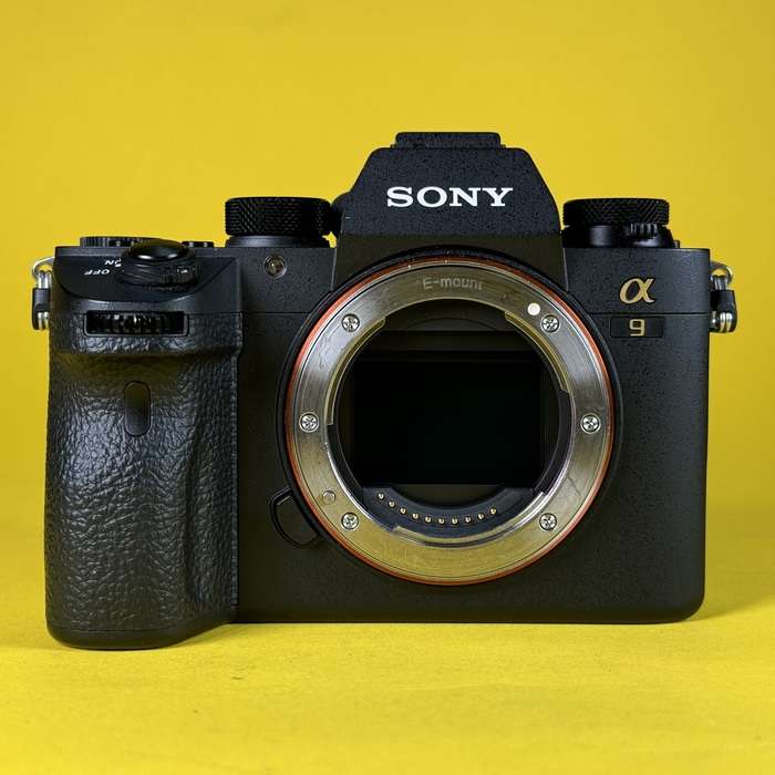 Sony Alpha A9 | 3770949