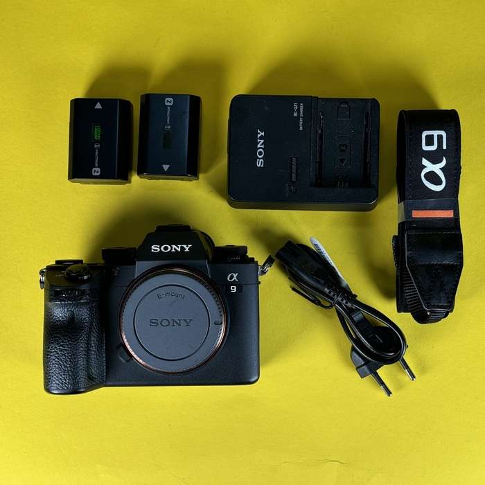 Sony Alpha A9 | 3770949