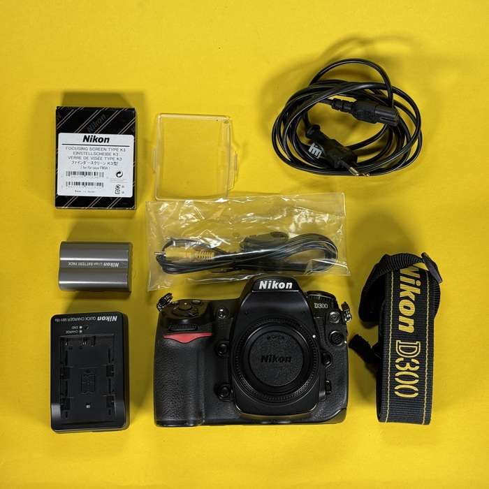 Nikon D300 | 4132145