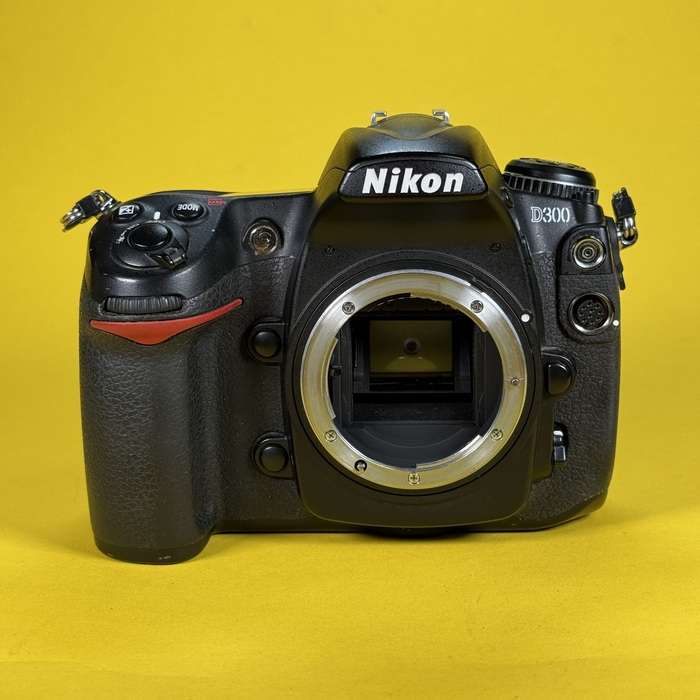Nikon D300 | 4132145