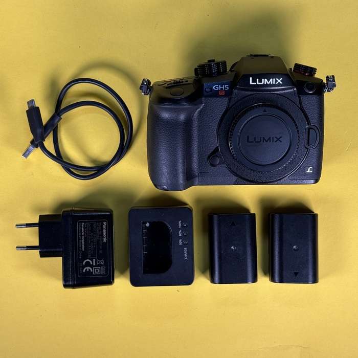 Panasonic Lumix DC-GH5S | WH9FC001316