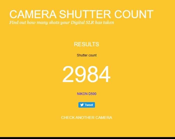 Nikon D500 | závěrka 2984  | 6068030