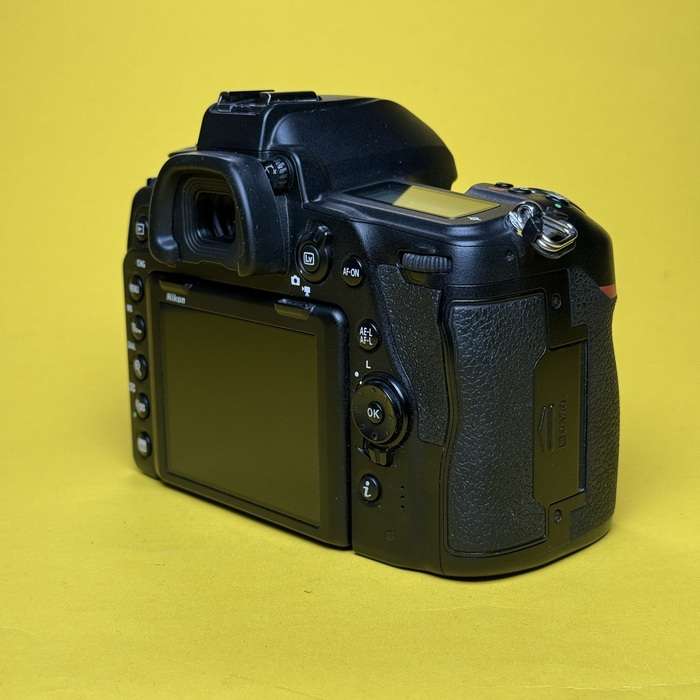Nikon D780 | 6017234