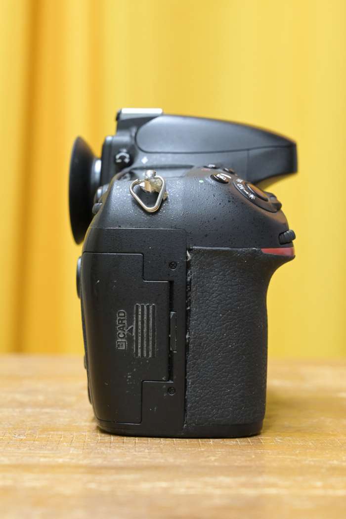 Nikon D800 | 8621190