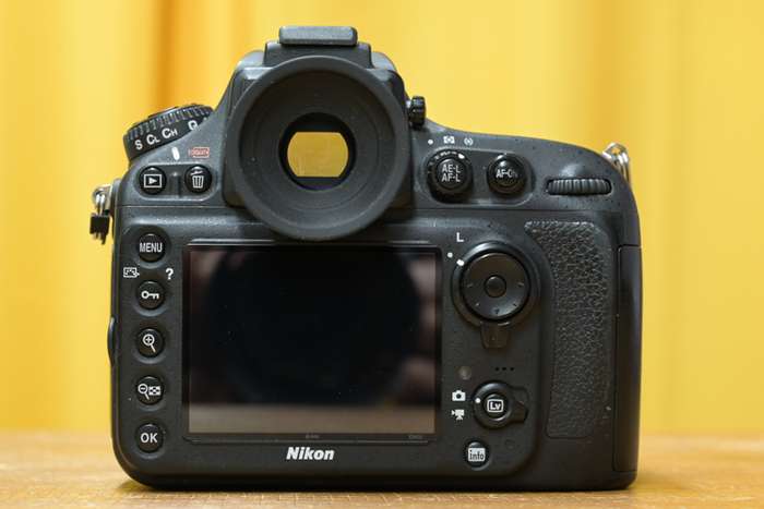 Nikon D800 | 8621190