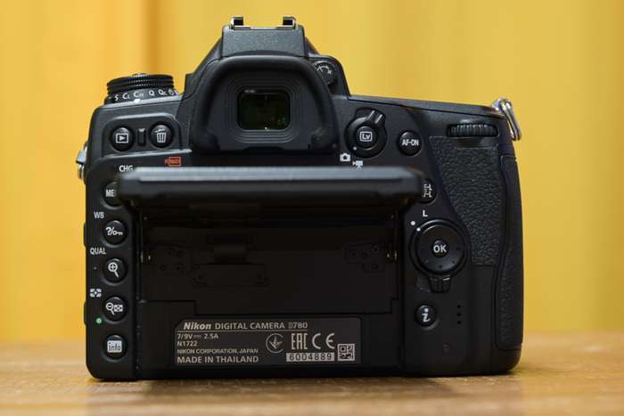 Nikon D780 |  6004889