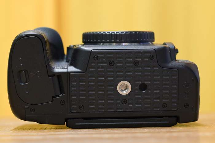 Nikon D780 |  6004889