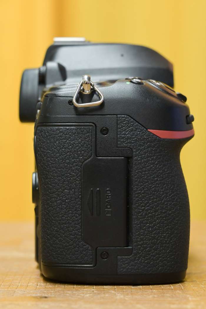 Nikon D780 |  6004889