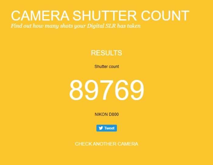 Nikon D800 | 6094875