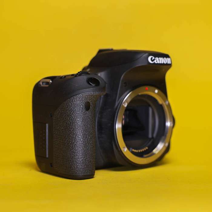 Canon EOS 77D | 14303105262