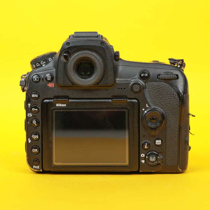 Nikon D850 | 6049683