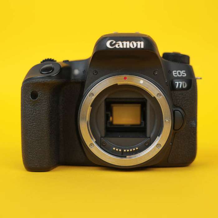 Canon EOS 77D | 343072002377