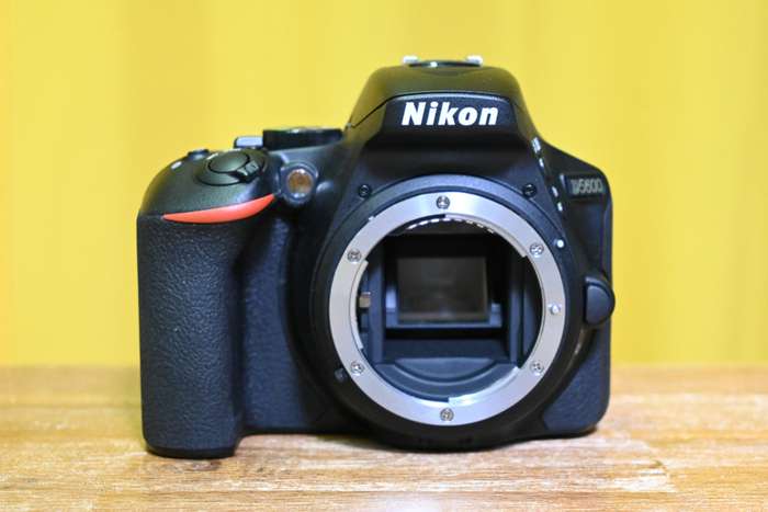 Nikon D5600 | závěrka 1235 |  6183311