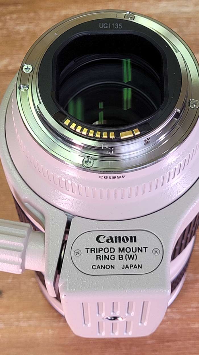 Canon 70-200/2,8 L USM | 466193