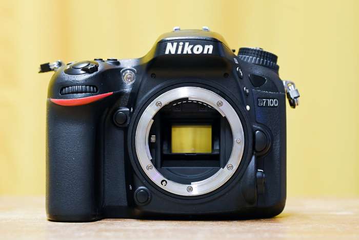 Nikon D7100 | 7831406