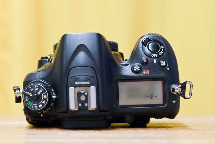 Nikon D7100 | 7831406