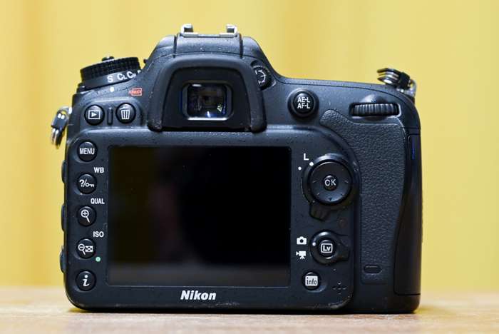 Nikon D7100 | 7831406