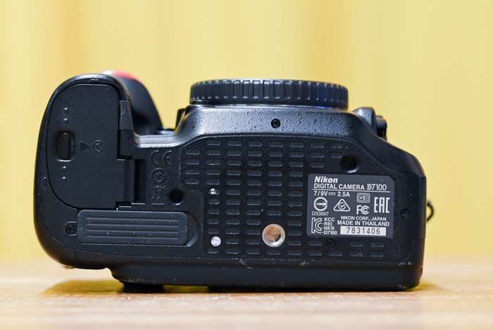 Nikon D7100 | 7831406