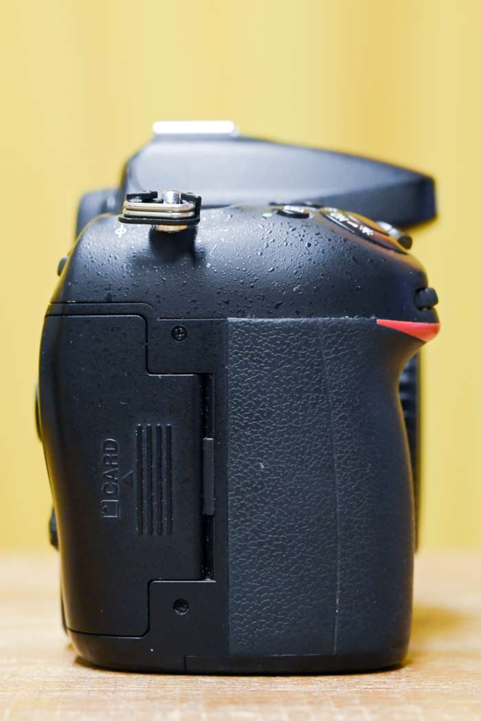 Nikon D7100 | 7831406