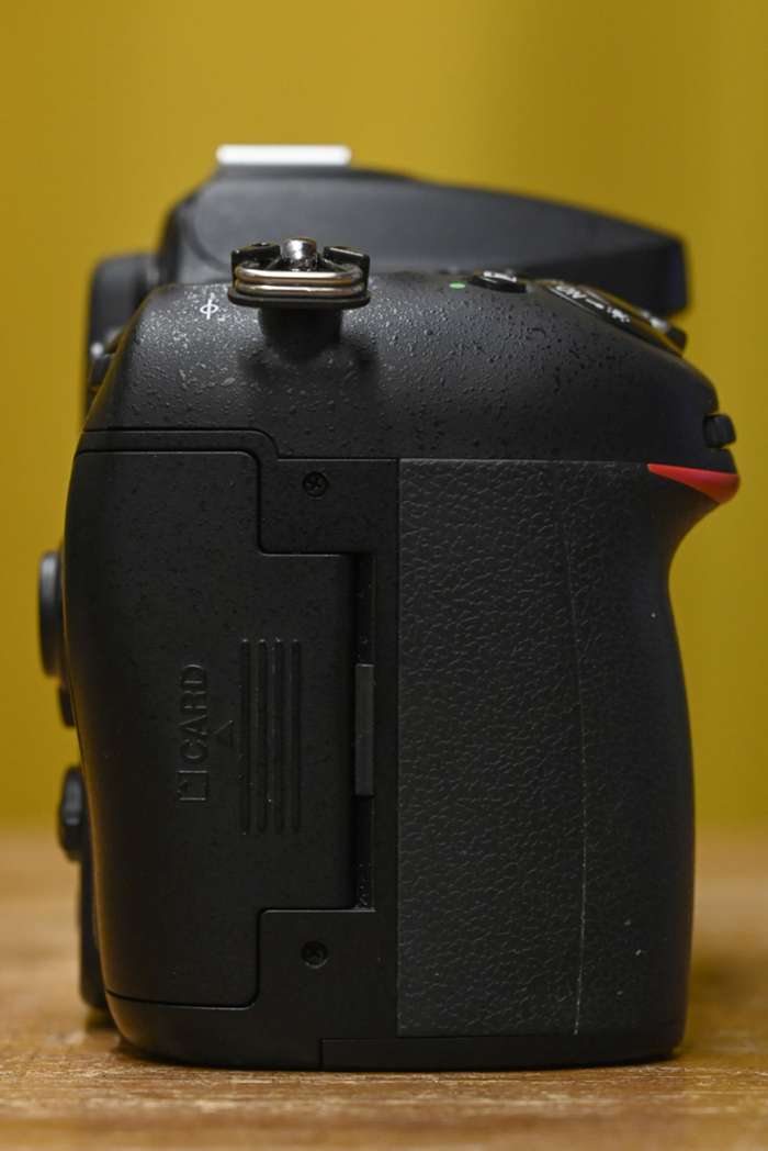 Nikon D7100 |4531637
