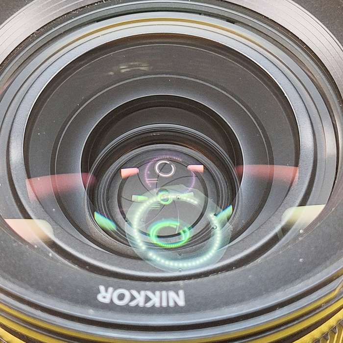 Nikon Z 24-70/4 S | 20161994